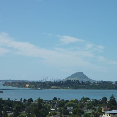 Up In The Stars B&B Tauranga Exterior foto